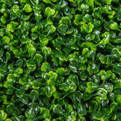 Set 10 bucati panou plante artificiale 60x40 cm, perete verde decorativ, dens, montaj usor, pentru interior si exterior PromotiiZilnice