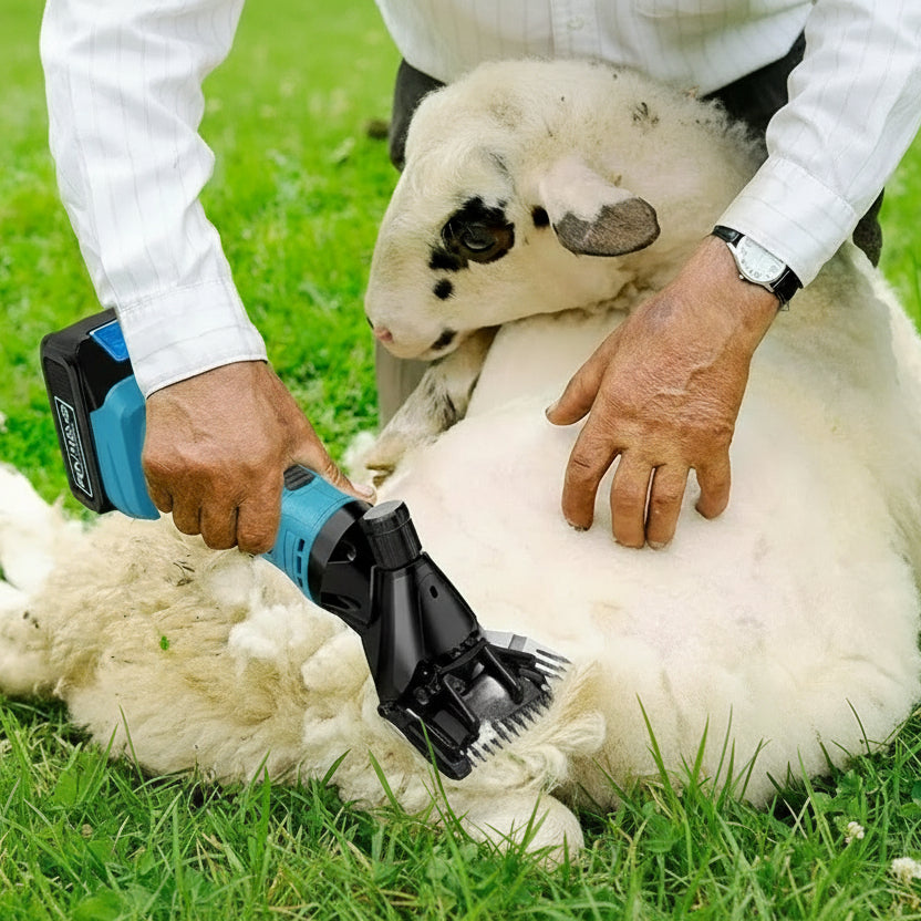 Masina Profesionala de Tuns Oi cu Acumulator, 2 Acumulatori, 48V, 2400 RPM, Lame Otel - PromotiiZilnice